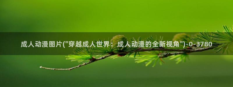 二次元动漫