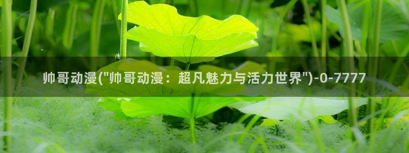 91动漫