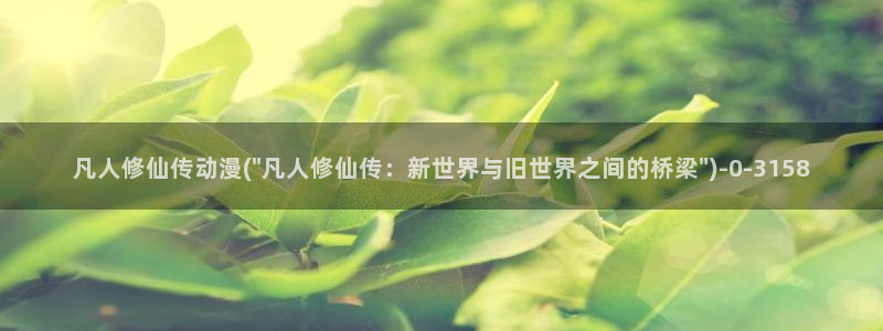 动漫免费观看
